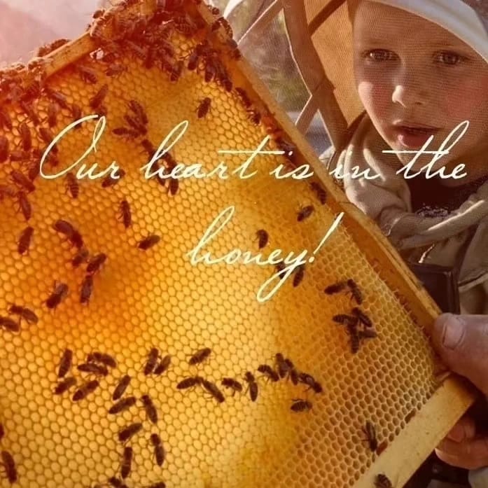 WhatsApp Image 2024 06 12 at 12.26.47 0b582182